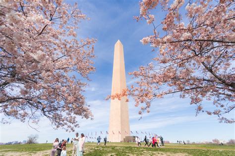 Must-See Washington, DC Events & Festivals | Washington DC