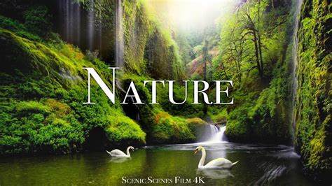 Free clip nature scenes, Download Free clip nature scenes png images ...