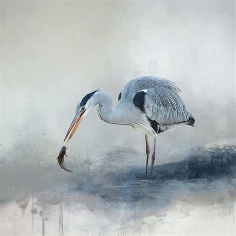 Abstract Watercolor Painting With Blue Heron Digital Art by Diana Van Tankeren - Pixels