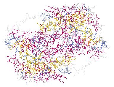 Illustrated Glossary of Organic Chemistry - Lactate dehydrogenase