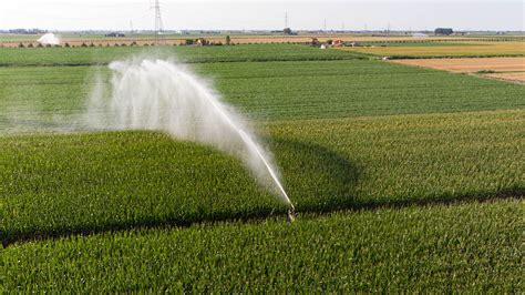 What is Crop Irrigation? (Explanation, Techniques & Systems)