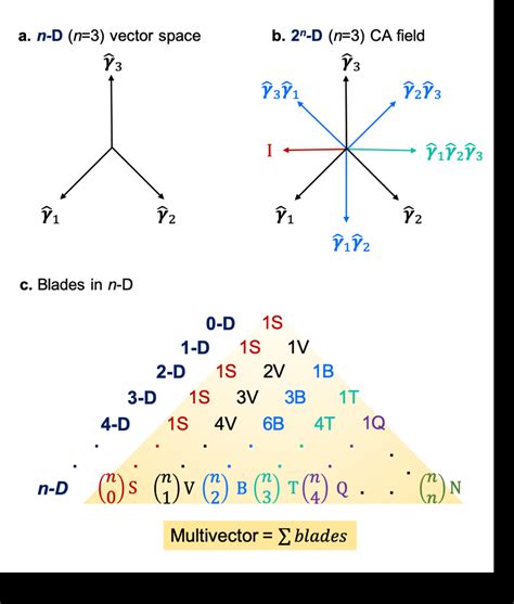 (a) Example of an n=3-dimensional vector space with orthonormal basis ...