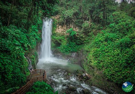 La Paz Waterfall Gardens - Waterfalls in Alajuela, Costa Rica