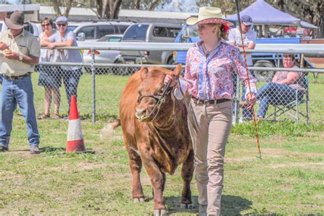 Five reasons why you should road trip to the Boorowa Show this weekend | HerCanberra