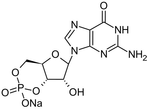 Guanosine 3',5'-cyclic monophosphate sodium salt (cGMP), cyclic ...