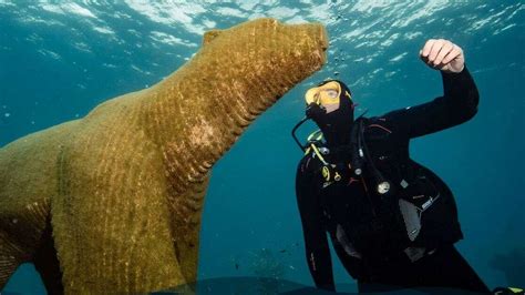 Underwater Museum of Marseille (Marseille 7ème) | Marseille Tourism