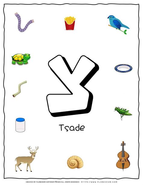 Hebrew Alphabet - Objects That Starts With Letter Tsade | Planerium