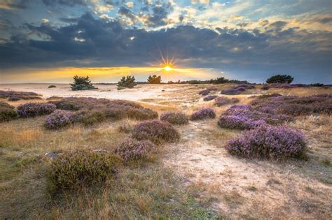 National Park 'The Hoge (High) Veluwe' in the Netherlands ¯\_(ツ)\_/¯ : pics