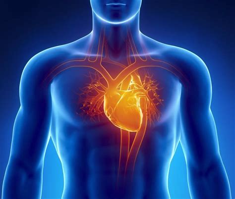 Cardiomyopathy - Causes, Types, Life Expectancy, Symptoms, Treatment