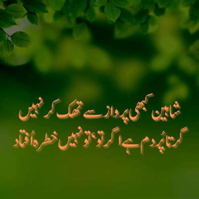 600+ Famous Allama Iqbal Poetry, Shayari Urdu - Linepoetry