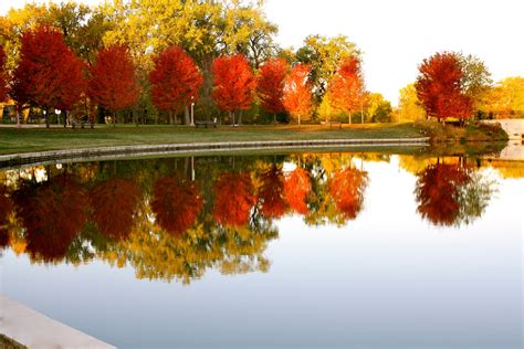 Forest Park St Louis, MO.. i should go here | Forest park st louis, Forest park, Places to visit