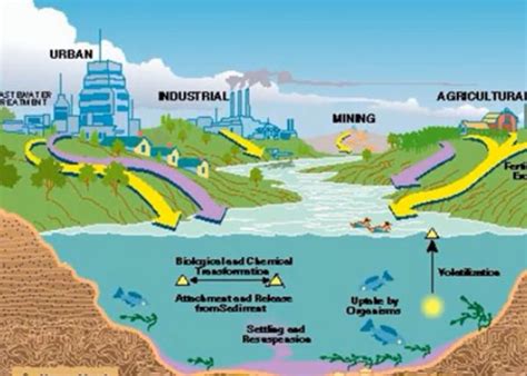 19 Common Tap Water Contaminants you must know