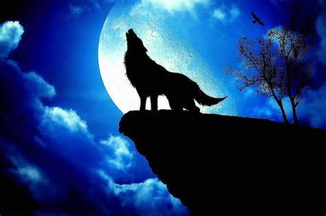 Anime Wolf Howling At The Moon Wallpapers - www.Wolf-Wallpapers.pro