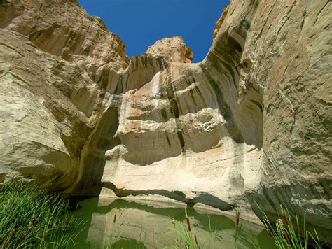 El Morro National Monument | Find Your Park