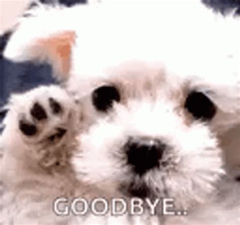 Sad Goodbye White Dog Waving Meme GIF | GIFDB.com