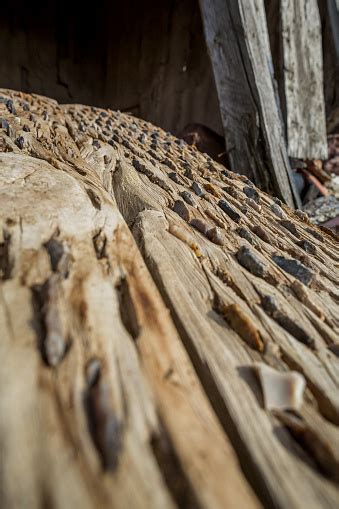 Threshing Sledge Stock Photo - Download Image Now - Threshing, 2015, Agriculture - iStock