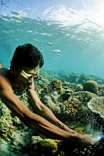 Cyanide Fishing in the Coral Triangle (Photos) | HuffPost