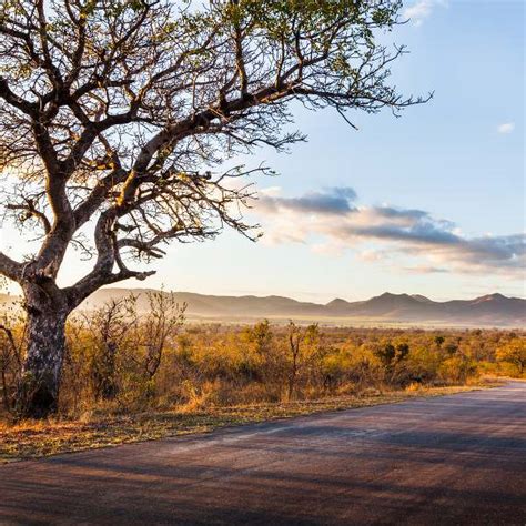 Cheap Flights To Kruger National Park: The Best Deals | Travelstart