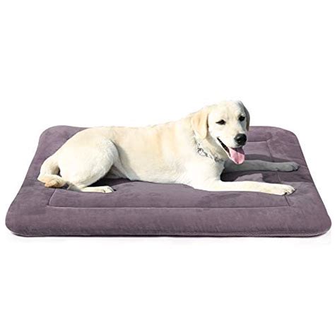 Best Dog Crate Beds, Pads & Mats: 2021 Reviews