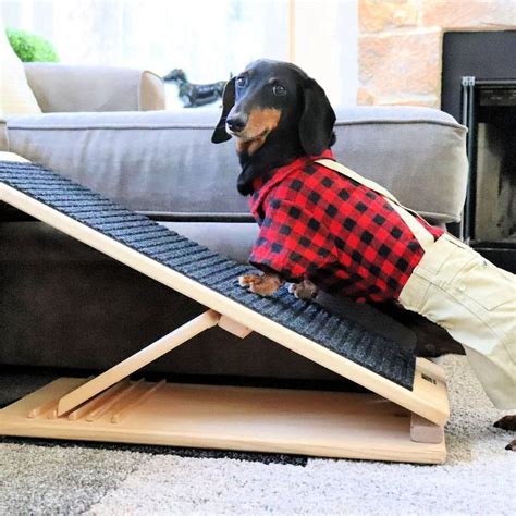 15 Free DIY Dog Ramp Plans For Bed, Car, Couch, Stairs