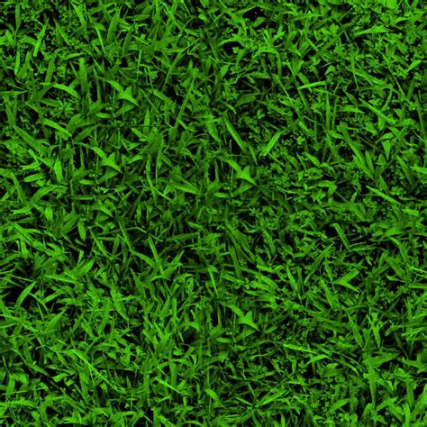 Download texture: green grass, background, texture, download photo, green grass texture | Grass ...