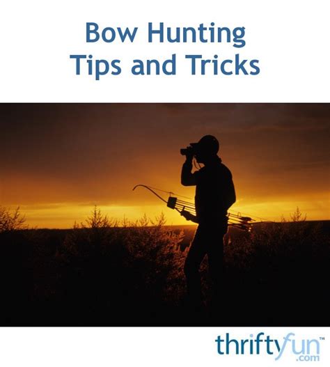 Bow Hunting Tips and Tricks | ThriftyFun