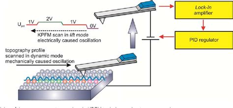 Figure 1 from Development of the photostimulated Kelvin Probe Force Microscopy setup. The tool ...