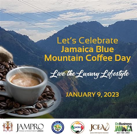 Jamaica Blue Mountain Coffee Day 2023 in Tandem with Renewed Production ...