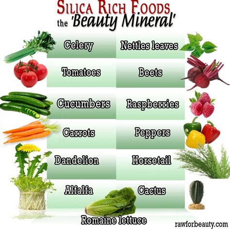 Silica Rich Foods the Beauty Mineral | Healthy skin diet, Beets cucumber, Raw for beauty