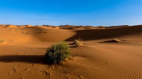 sahara, desert, sand, sky 4k Sand, Sahara, Desert Wallpaper Earth, Heart Wallpaper, Nature ...