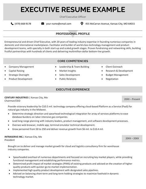 Executive Resume Template, Examples, & Walkthrough for 2024