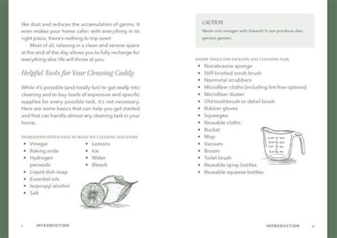 The Little Book of Cleaning Tips: A Guide to Keeping Your Space, Healthy, Tidy, & Calm by Leah N ...