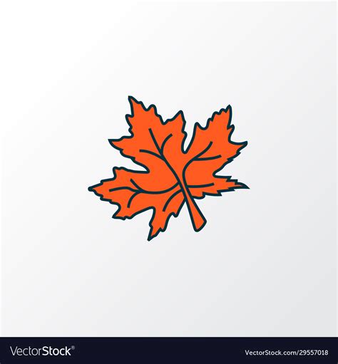 Maple leaf icon colored line symbol premium Vector Image