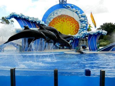 Top 20 Florida Attractions You Just Can't Miss | Things To Do in ...