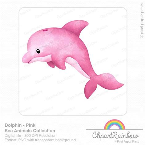 Pink Dolphin Clipart Ocean Clip Art Watercolor Clipart Digital File - Etsy