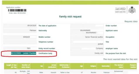 MOFA Family Visit Visa Status Check Saudi Arabia - Info Omni