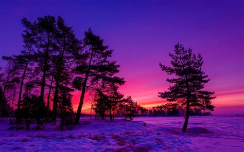 Widescreen Winter Wallpaper 1440x900 - WallpaperSafari