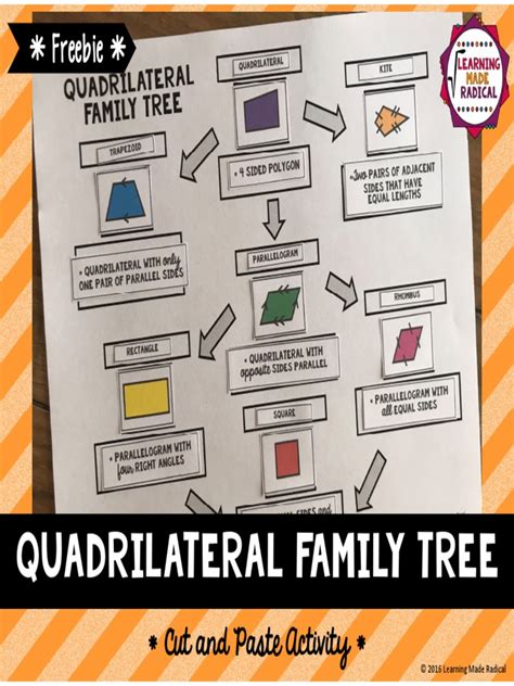 Quadrilateral Family Tree Cut and Paste Activity | Rectangle | Euclidean Geometry