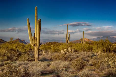 Phoenix, Arizona Facts and Trivia