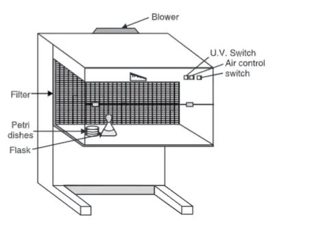 Laminar Flow Hood/cabinet Definition, Parts, Principle, Application