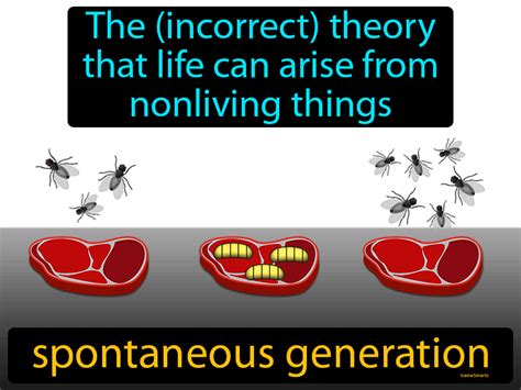 Spontaneous Generation Definition & Image | Flippy Flashcards