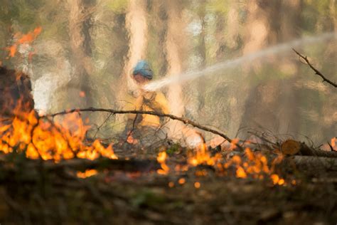 California Wildfire Portrait: At the Heart of the Happy Camp Fire | KQED