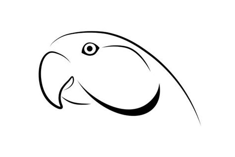 670+ Parrot Head Drawing Stock Illustrations, Royalty-Free Vector ...