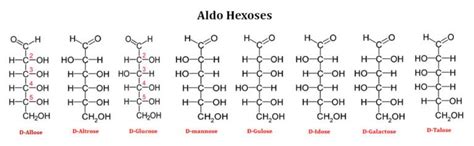 Monosaccharides Short Lecture Notes | EasyBiologyClass