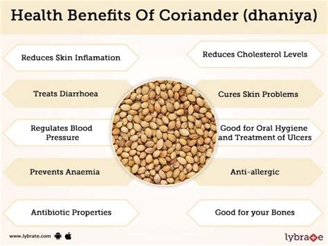 The effectiveness of coriander seeds weight loss solution - 24 Mantra ...