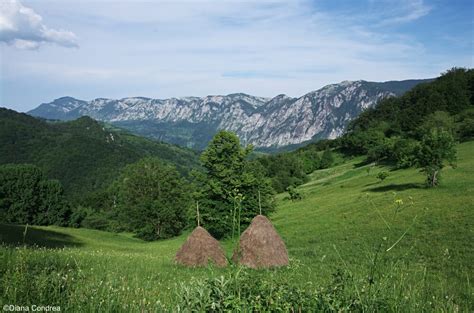 Nature in Romania: Wilderness and Breathtaking Landscapes