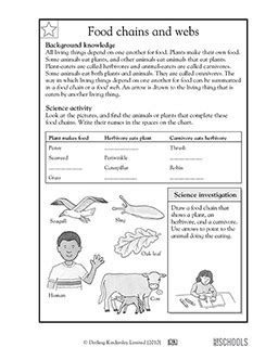 Food chains and webs | 3rd grade, 4th grade Science Worksheet ...