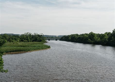 After 10 years of flunking, Anacostia River passes annual health-check ...