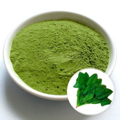 Spinach Powder Organic - manufacturer - undersun