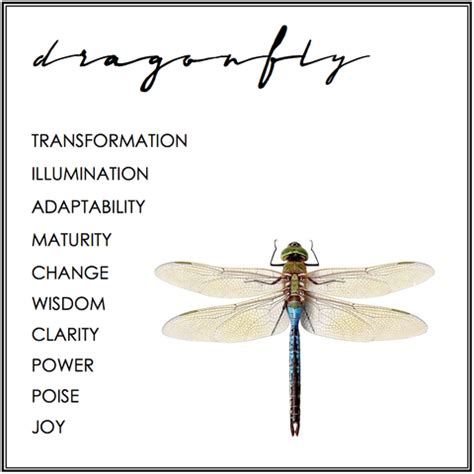 DRAGONFLY SYMBOLISM | SYMBOLISM | quotes and sayings | Pinterest ...